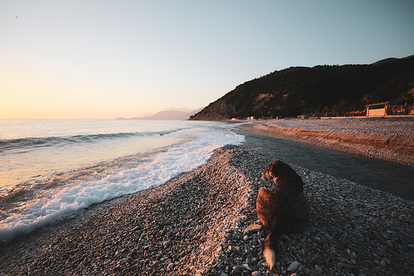A companian on Palase Beach, Albania