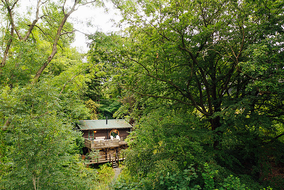 Drone image captured through the trees towards Foragers Cabin