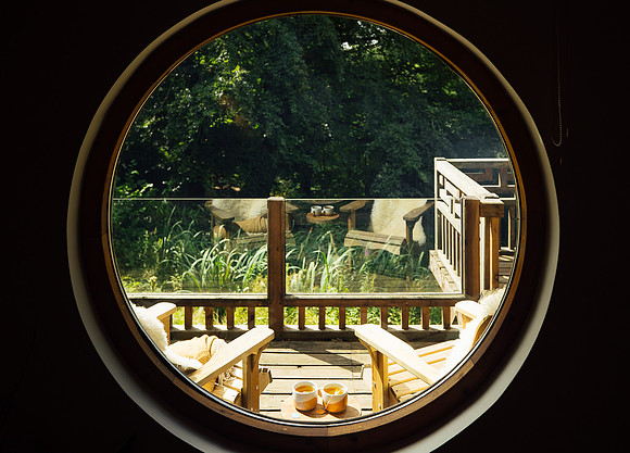 Looking out the circular window at Foragers Cabin, Powys