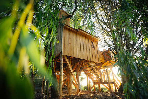 Glamping Photography - Looking through a willow tree towards Pomeroy Treehouse in Somerset