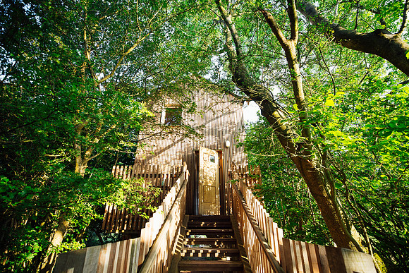 Looking up the staircase towards Drovers Bough holiday let