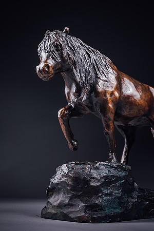 Studio lit image of a bronze horse status