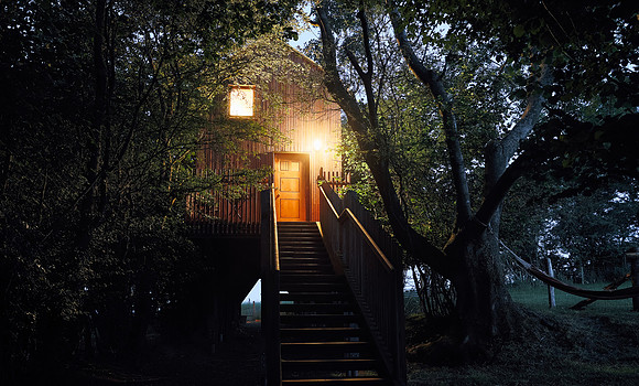 Drovers bough illuminated at night
