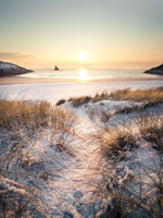 Snowy Broad Haven