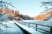 Snowy Lily Ponds