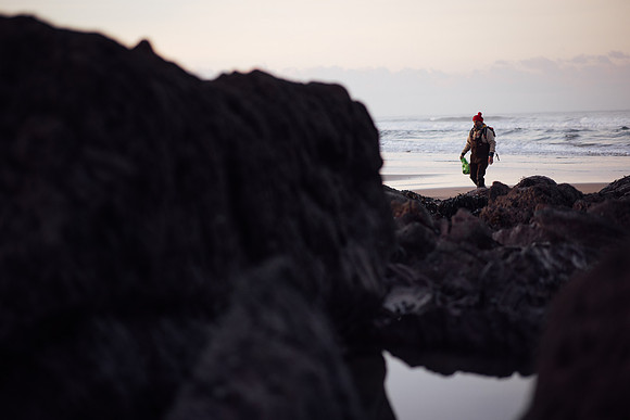 Seaweed picking at Freshwater West with Jonathan Williams